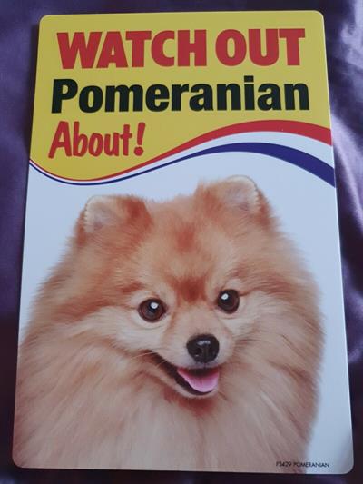 Watch Out Pomeranian About! Sign